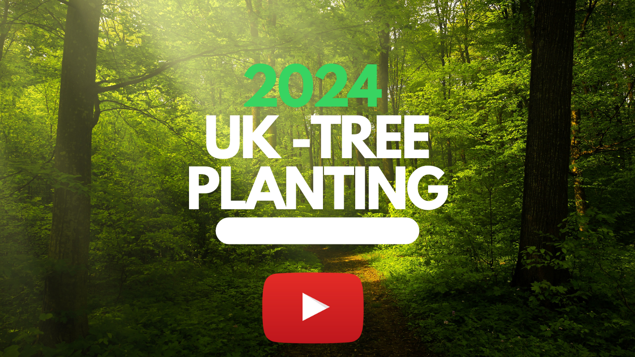 2024_uk_trees.png