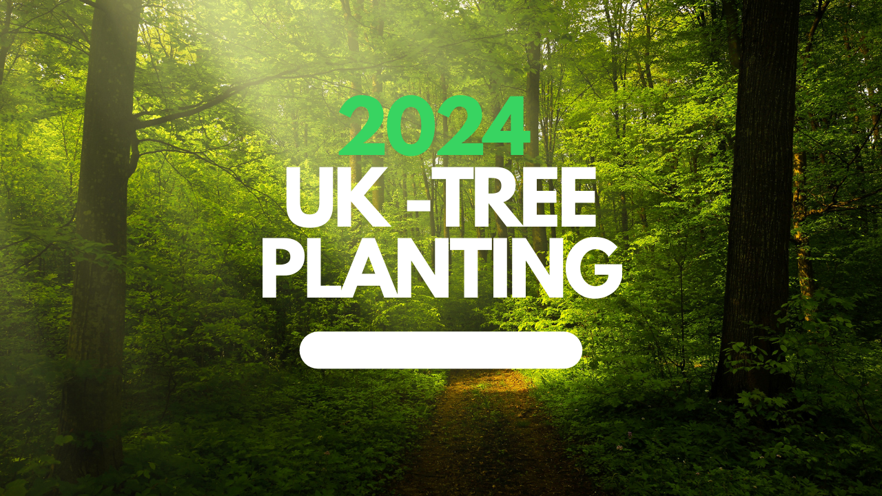 2024_uktrees.png