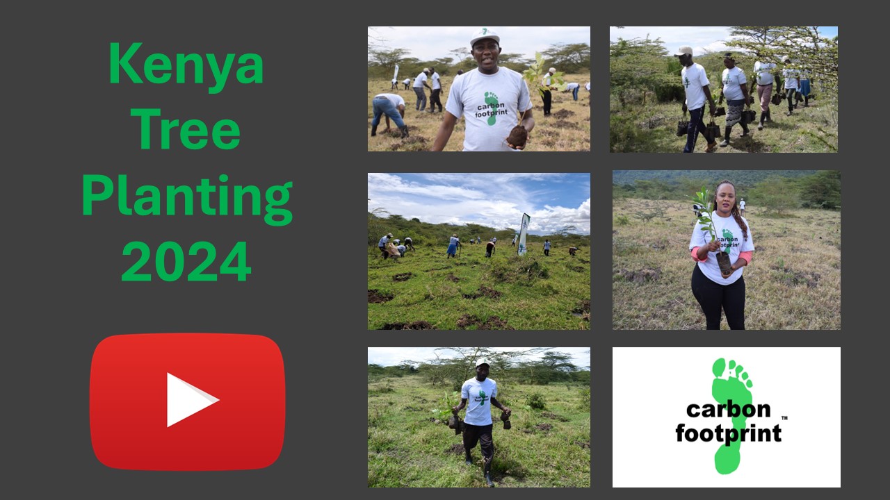 kenya_tree_planting_2024yt.jpg