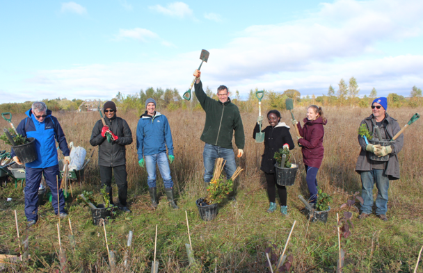 Team participating in a tree planting event
