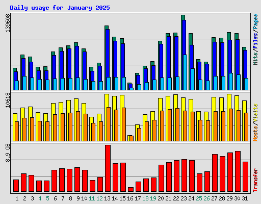 Daily usage for January 2025