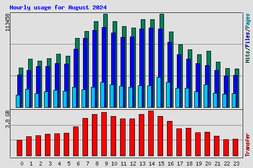 Hourly usage for August 2024