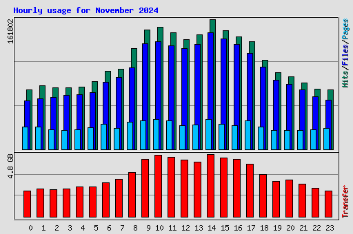Hourly usage for November 2024