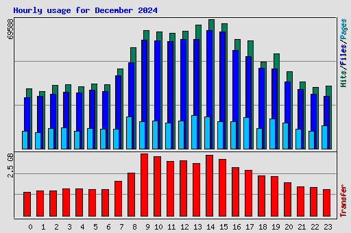Hourly usage for December 2024