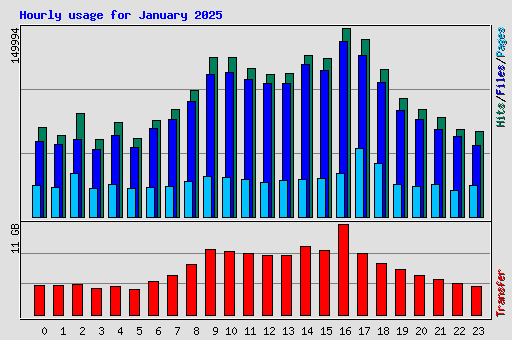 Hourly usage for January 2025