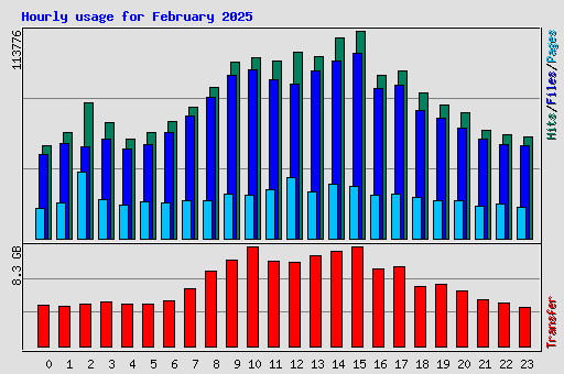 Hourly usage for February 2025