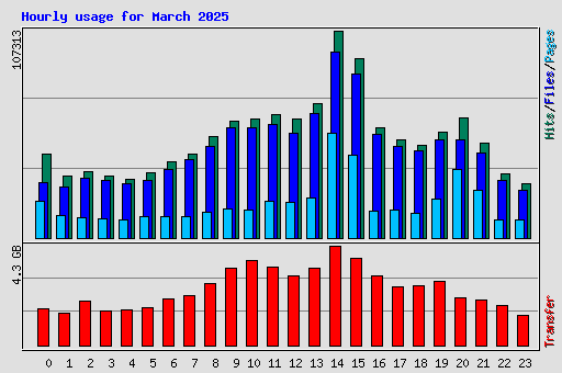 Hourly usage for March 2025